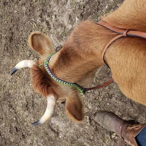 Meet your Posher, Kat